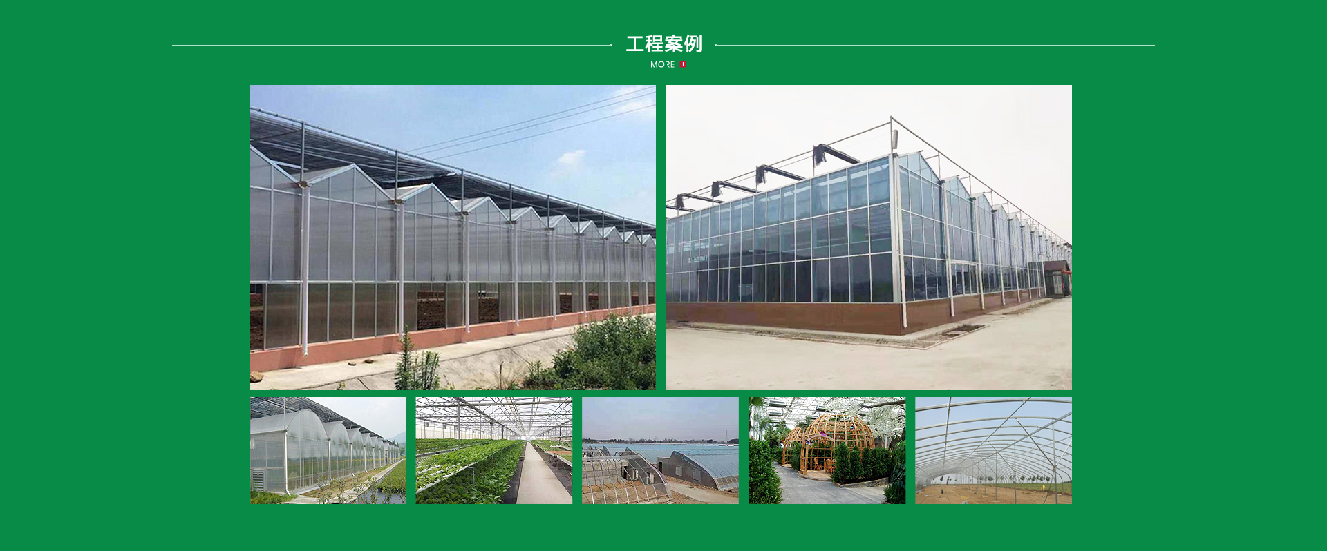 青州市騰輝農業科技有限公司
