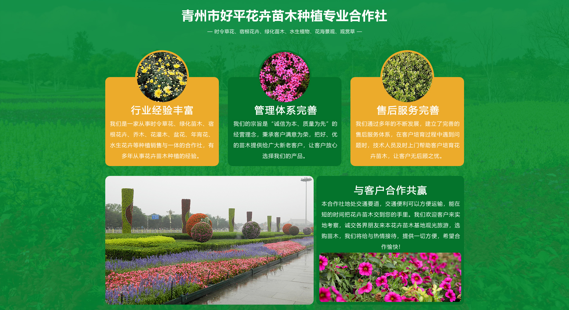 青州市好平花卉苗木種植專業合作社