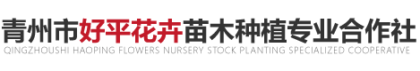 青州市好平花卉苗木種植專業合作社
