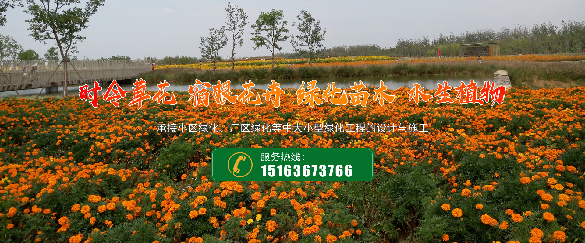 青州市好平花卉苗木種植專業合作社