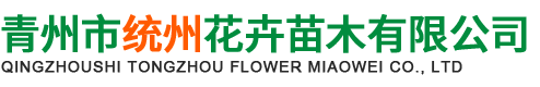 青州市统州花卉苗木有限公司