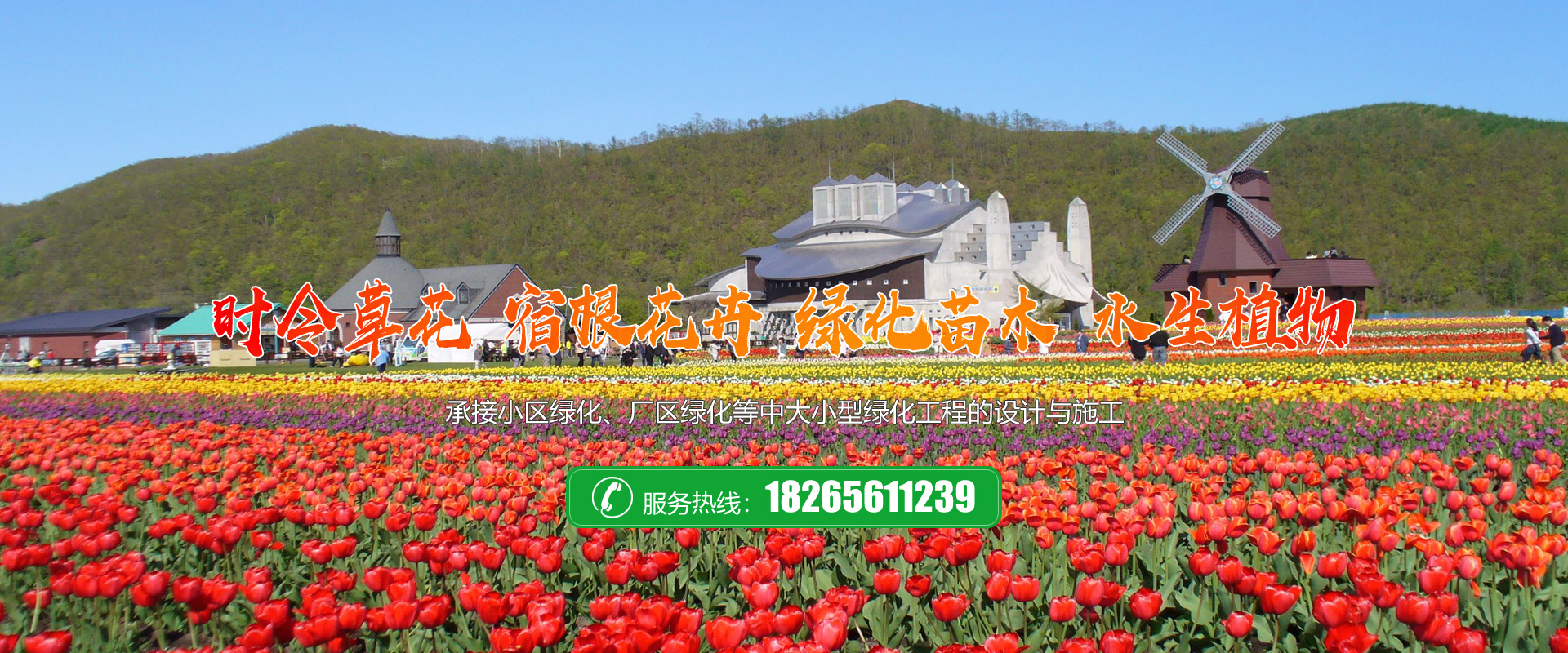 青州市凯洋花卉苗木有限公司