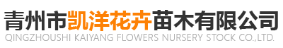 青州市凯洋花卉苗木有限公司
