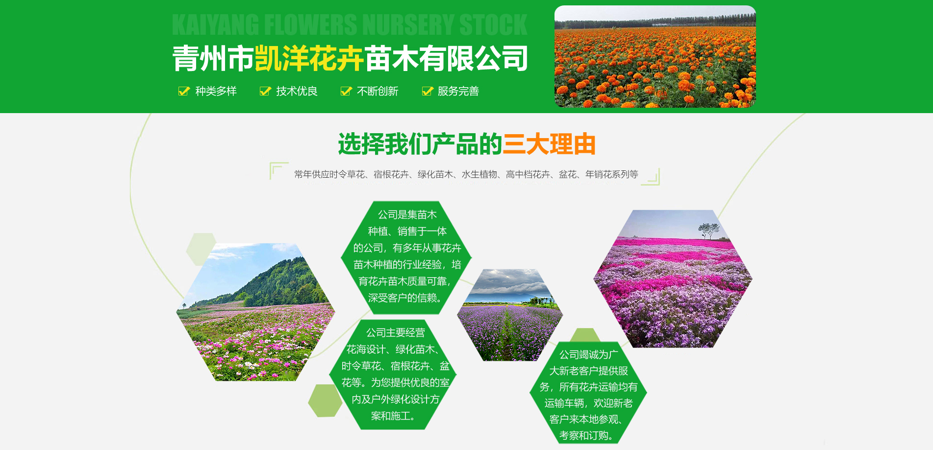 青州市凯洋花卉苗木有限公司
