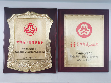 青海省巾幗建功標(biāo)兵