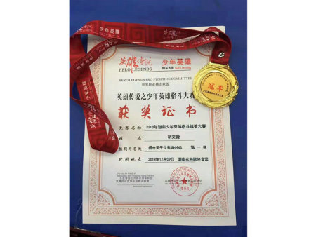 我校学生参加“2018年湖南少年英雄格斗精英大赛”夺冠