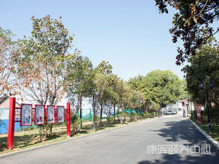 活动场地