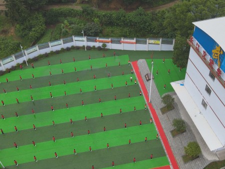 学校鸟瞰图