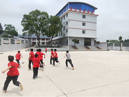 校园环境融洽，学习氛围好