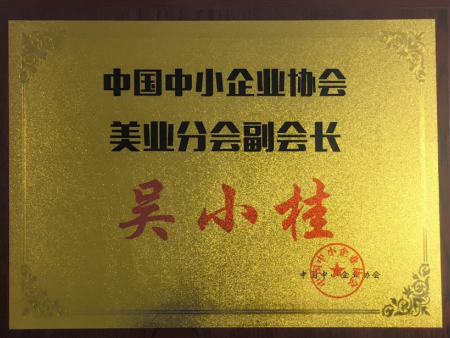 中國中小企業(yè)協(xié)會美業(yè)分會副會長