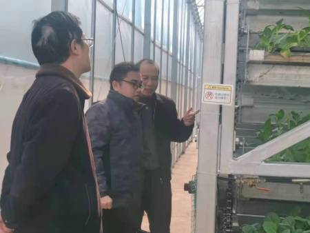 省市縣領導觀摩調研照
