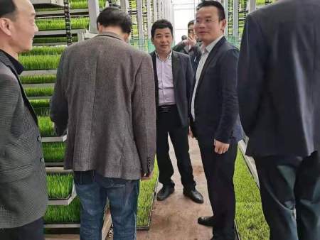 省市縣領導觀摩調研照