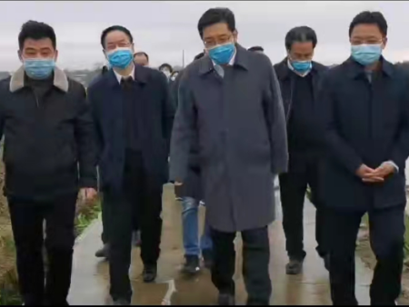 省市縣領導觀摩調研照