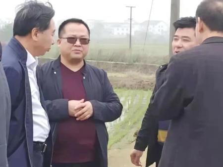 省市縣領導觀摩調研照