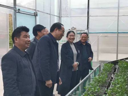 省市縣領導觀摩調研照