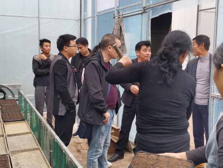 省市縣領導觀摩調研照