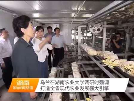 省市縣領導觀摩調研照