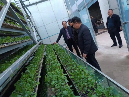 省市縣領導觀摩調研照