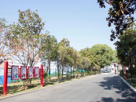 活动场地