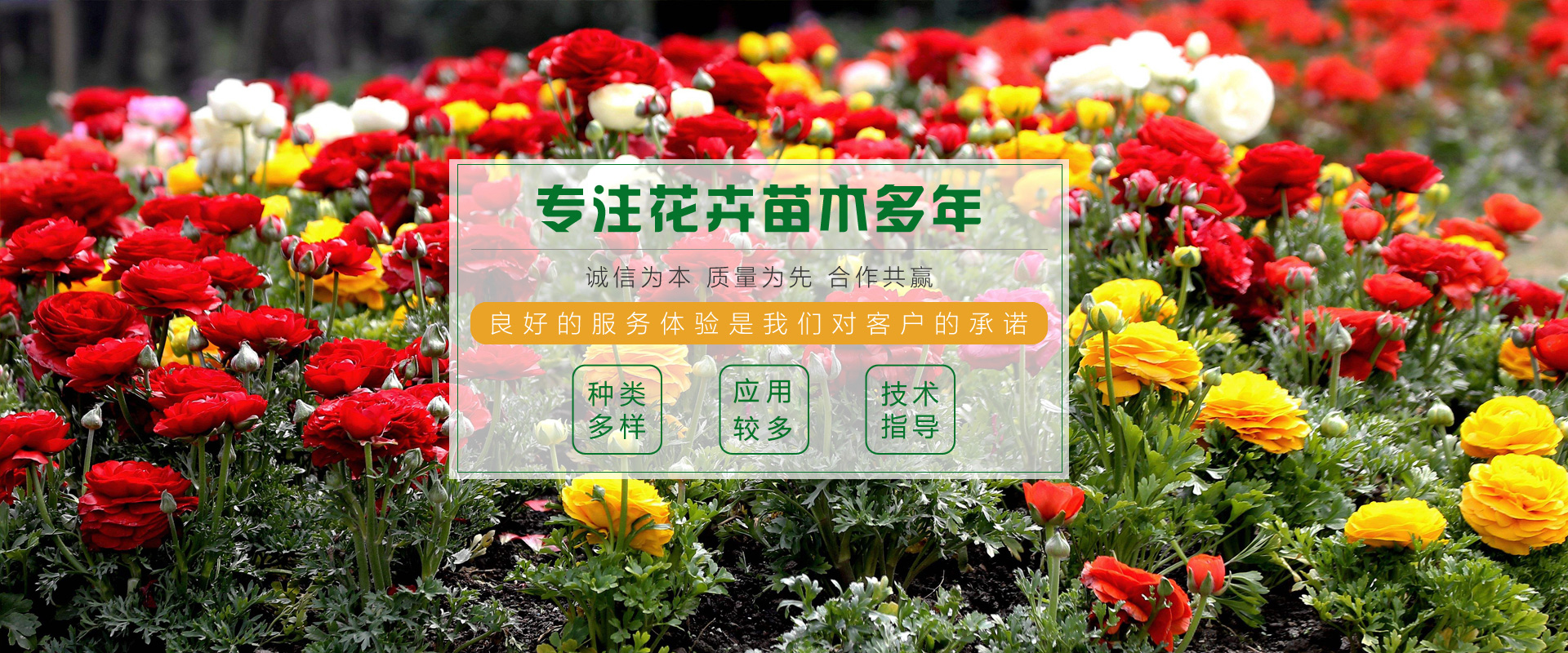 青州市好平花卉苗木種植專業合作社