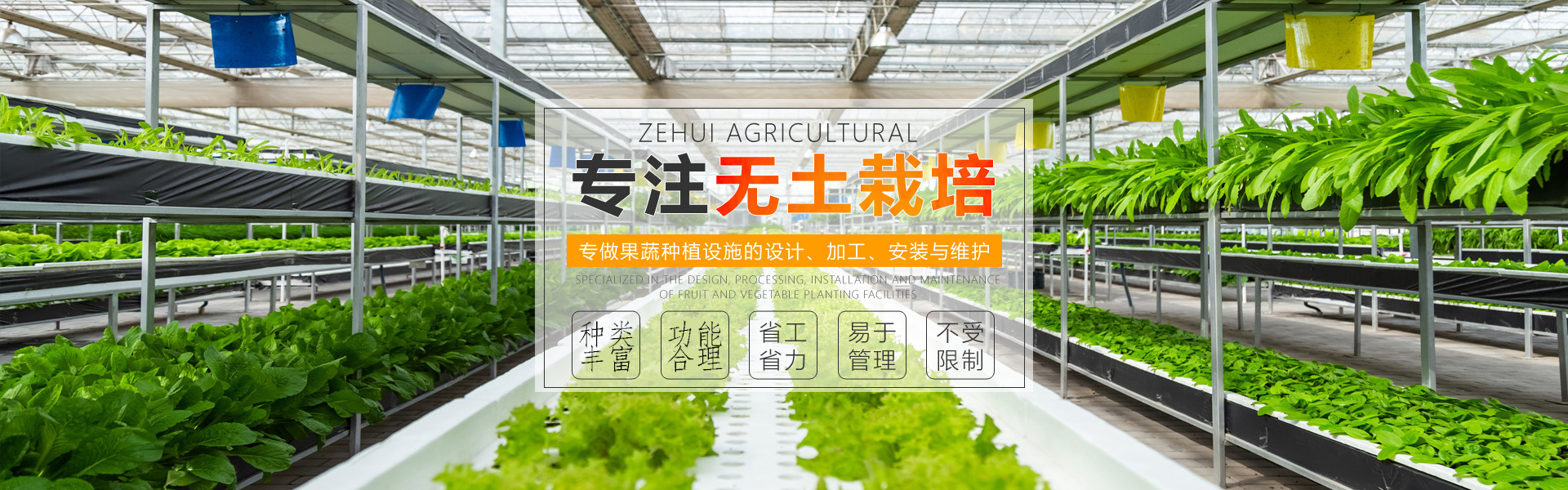 壽光澤惠農業科技有限公司