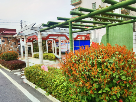 校園花園走廊