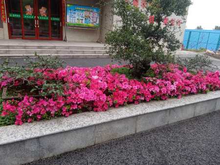 活动场地