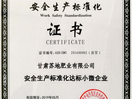 安全生产标准化