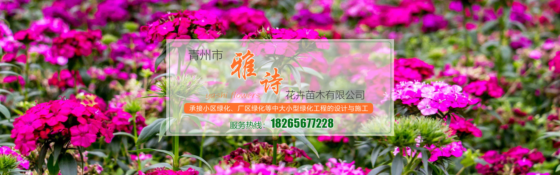 青州市雅诗花卉苗木有限公司