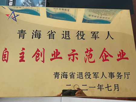 示范企业