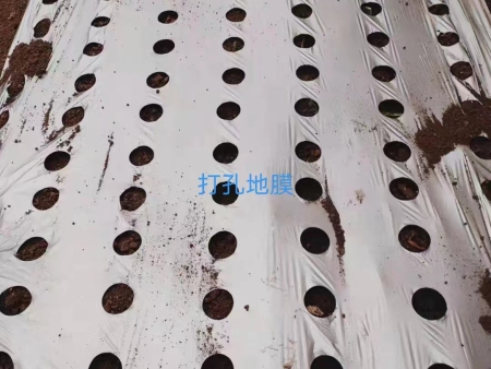 个性化定制打孔地膜