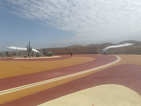 张掖国家沙漠体育公园出入口膜结构
