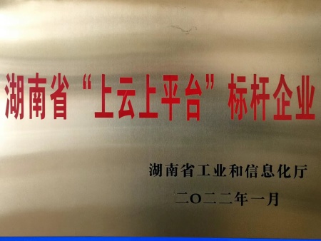 湖南省“上云上平台”标杆企业