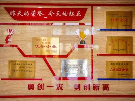 荣誉展示