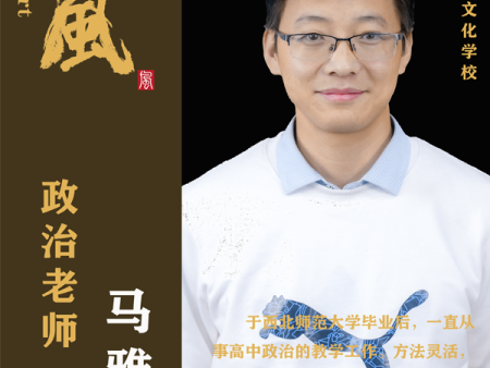 政治马雅男
