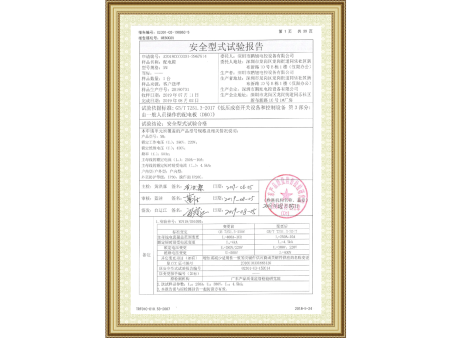 安全型式报告