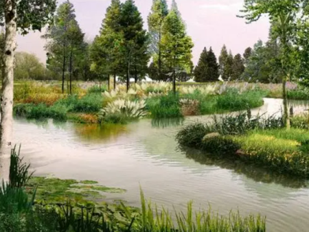 河湖治理：水生态修复工程有哪些措施？