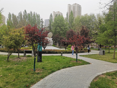 蘭州廣場(chǎng)公園景觀綠化