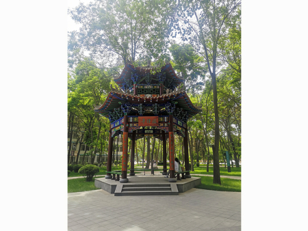 蘭州園林景觀