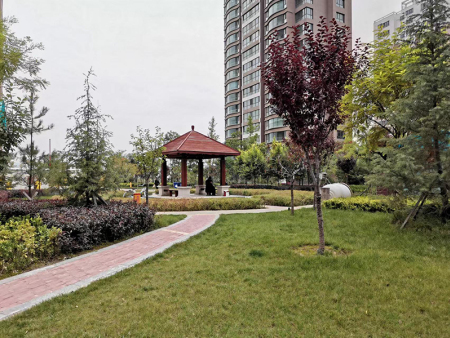 甘肅小區(qū)景觀