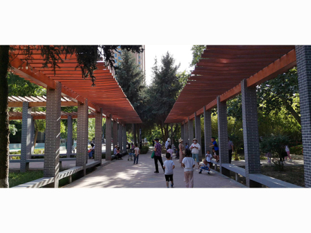 蘭州濕地公園綠化