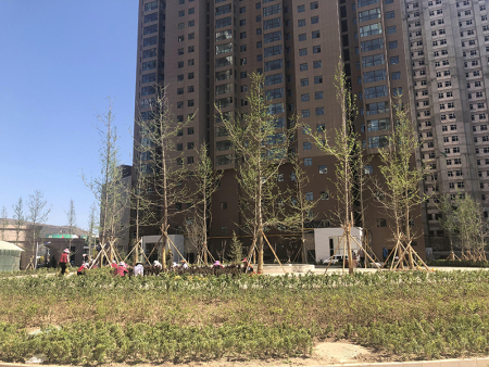 甘肅住宅小區(qū)綠化