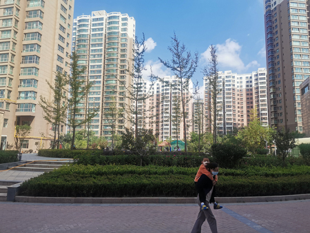 蘭州廠區(qū)綠化