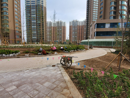 蘭州住宅小區(qū)綠化