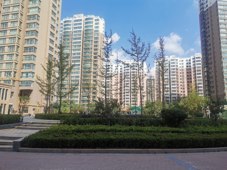 蘭州工業(yè)園區(qū)綠化