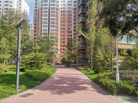 蘭州廣場綠化