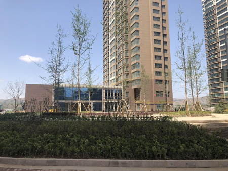蘭州城市公園綠化