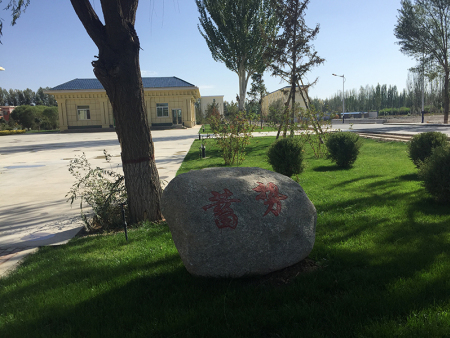 蘭州廣場綠化