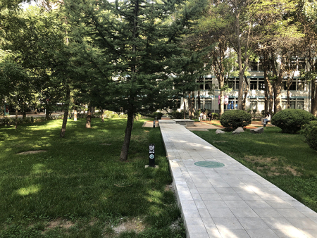甘肅小庭院景觀