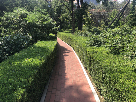 甘肅商住小區(qū)綠化